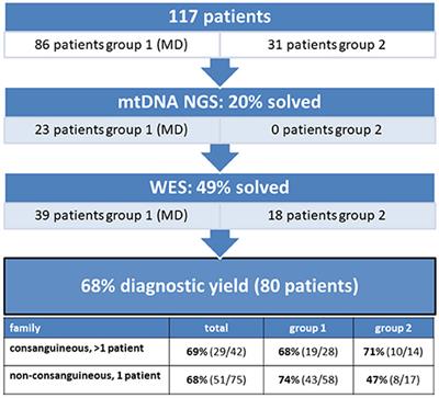 Whole Exome Sequencing Is the Preferred Strategy to Identify the Genetic Defect in Patients With a Probable or Possible Mitochondrial Cause